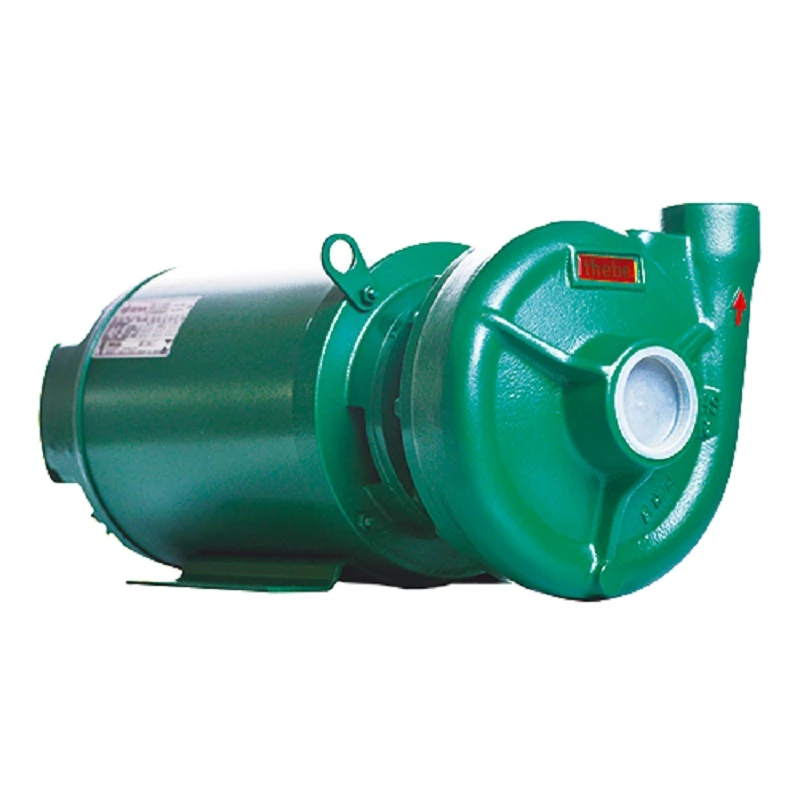 BOMBA THS-18 7.5CV TRIFÁSICO IP55 ( ROTOR 163 ) THEBE 