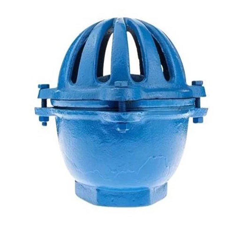 VÁLVULA PE FERRO FUNDIDO DN1.1/2'' TIPO CEBOLA BOMAJET