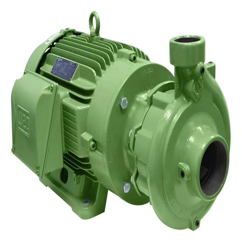 BOMBA BPI 050-032-160 R 5CV TRIFÁSICO 4V ( ROTOR 143MM ) SCHNEIDER