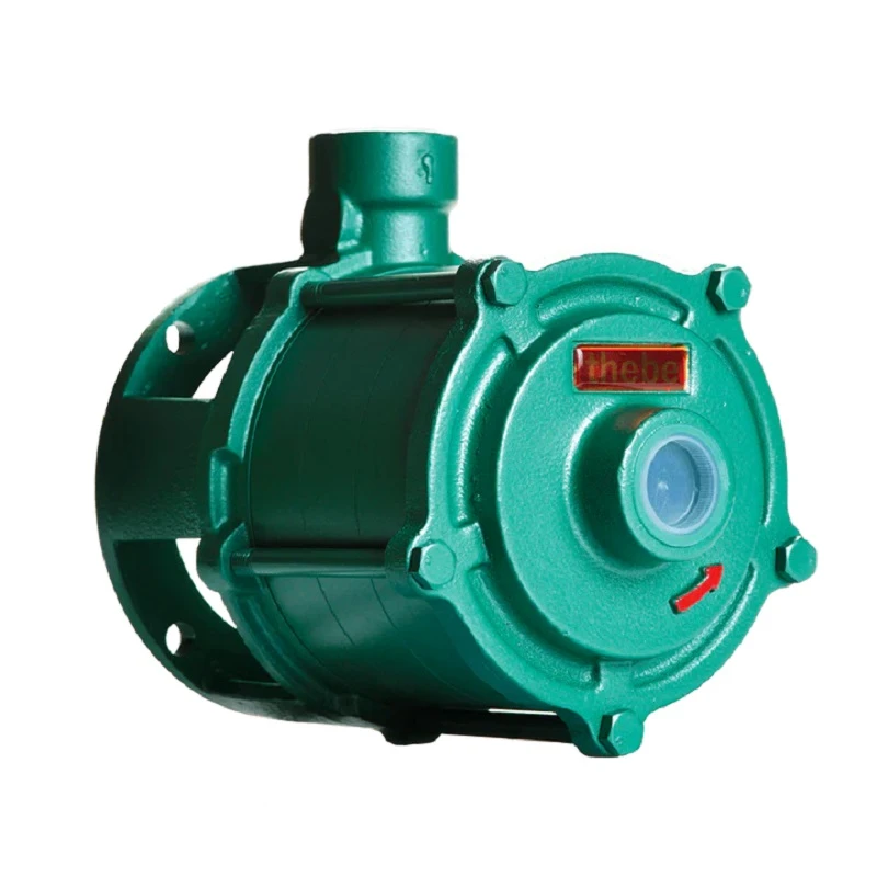 BOMBA P-11/4 BR B4T 5.5HP S/MOTOR BRANCO GASOLINA THEBE